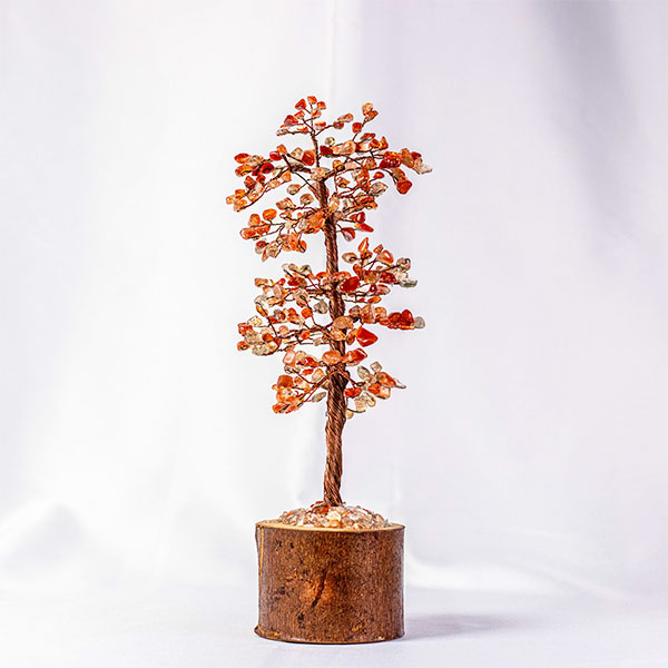 Sun Stone Tree
